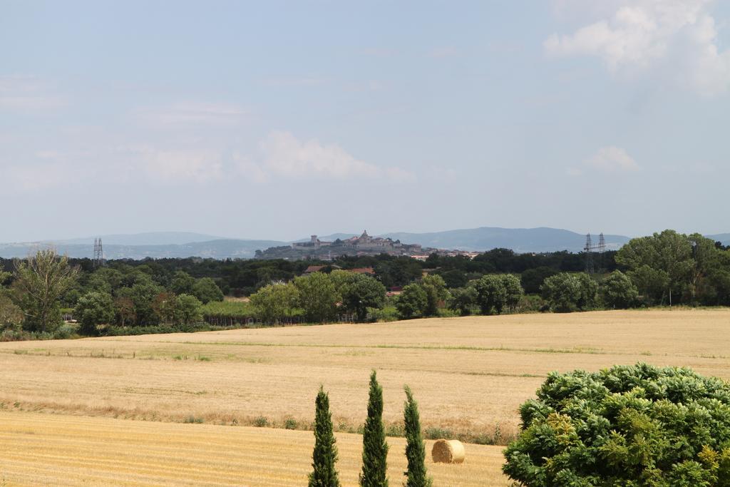 Agriturismo Verbena Кастільйоне-дель-Лаго Екстер'єр фото