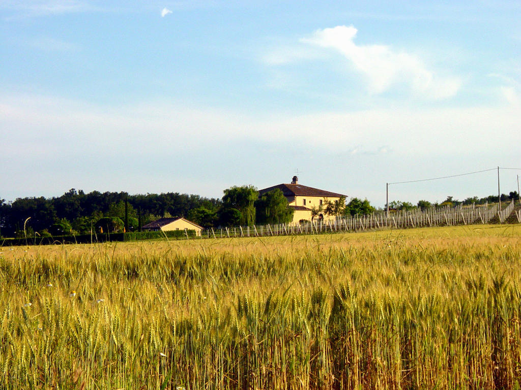 Agriturismo Verbena Кастільйоне-дель-Лаго Екстер'єр фото