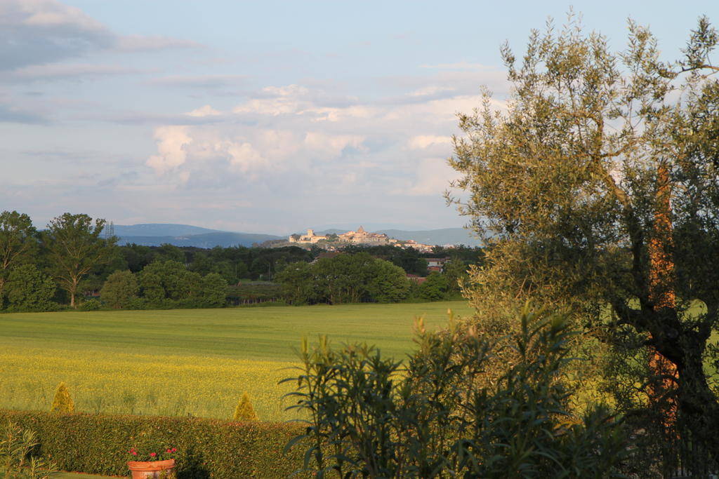 Agriturismo Verbena Кастільйоне-дель-Лаго Екстер'єр фото