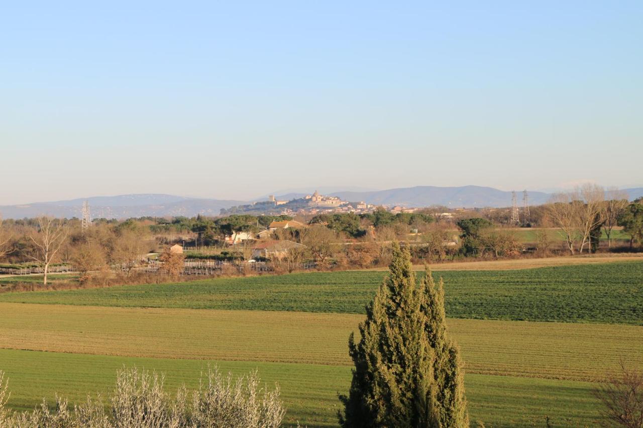 Agriturismo Verbena Кастільйоне-дель-Лаго Екстер'єр фото